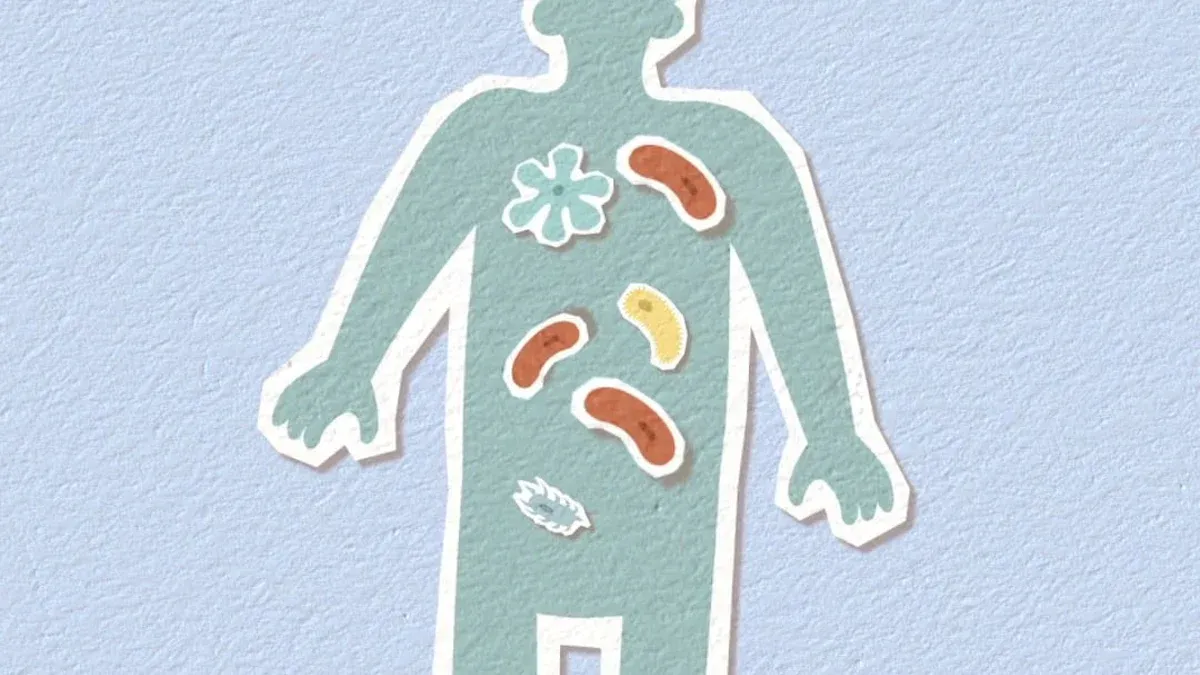 Nutrient Absorption Benefits