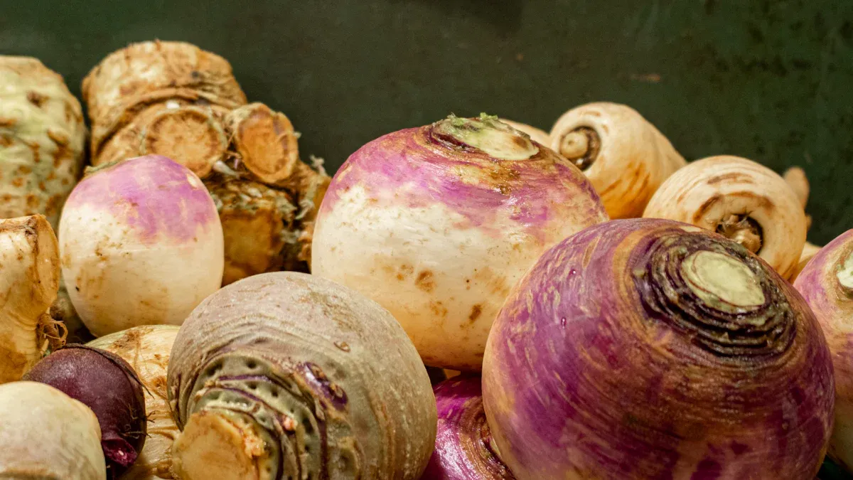 Benefits of Amylase for Digestive Health