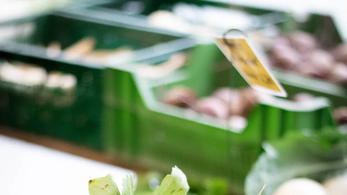 USDA Organic Certification Explained