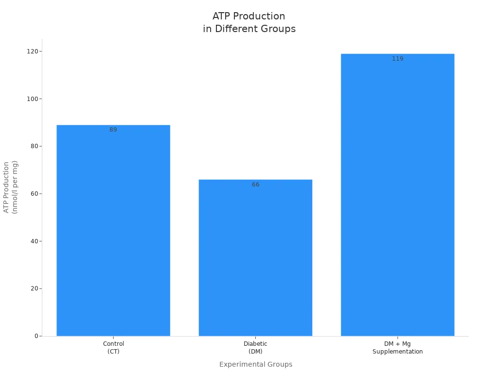 Bar chart comparing ATP production in control, diabetic, and magnesium-supplemented groups