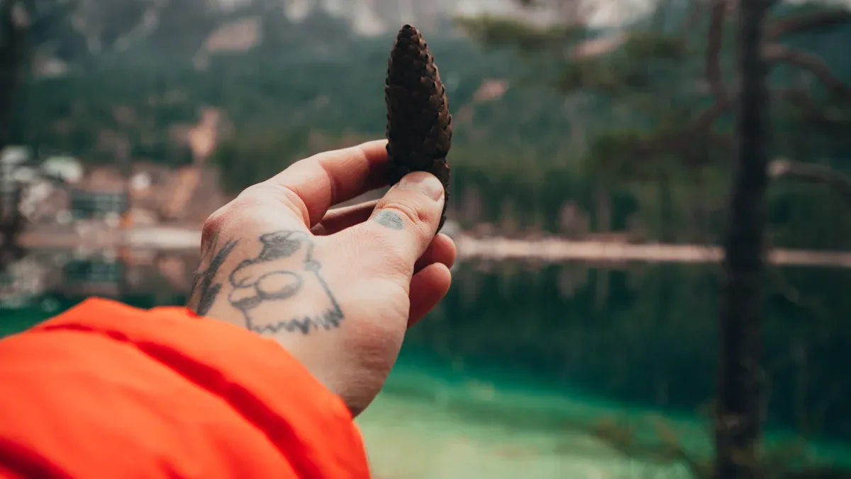 9. Energy Bars: Convenient Hiking Snack Ideas