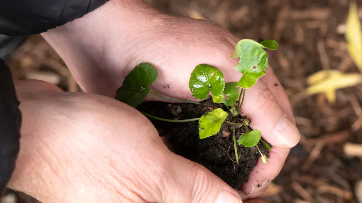 THE IMPACT ON SUSTAINABLE FOOD SUPPLY CHAINS