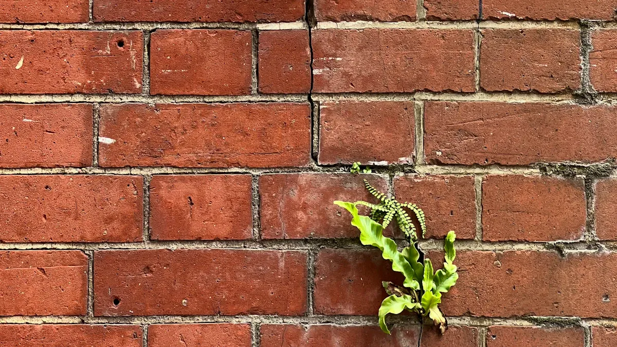 Mindset Shifts for Staying Energized