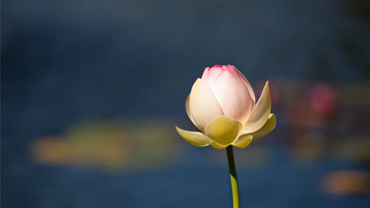 Master Your Mindset for Resilience