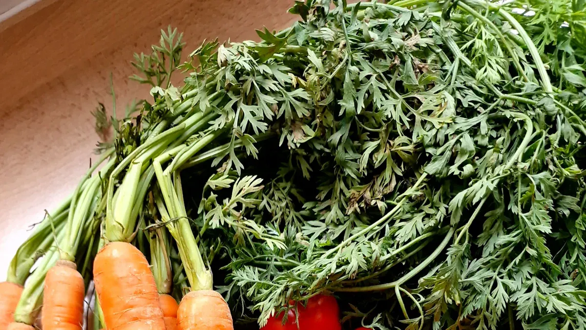 A Closer Look at Vitamins