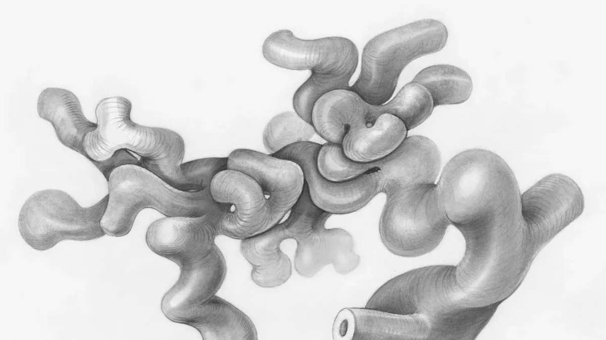 Role of Minerals in the Body